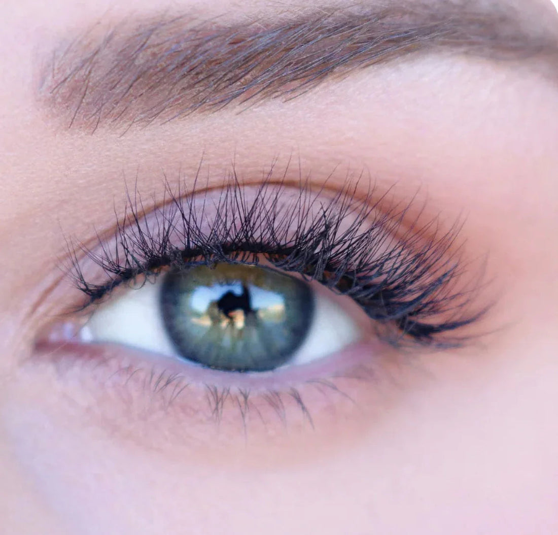 All about Lashes - BeautySecrets4u