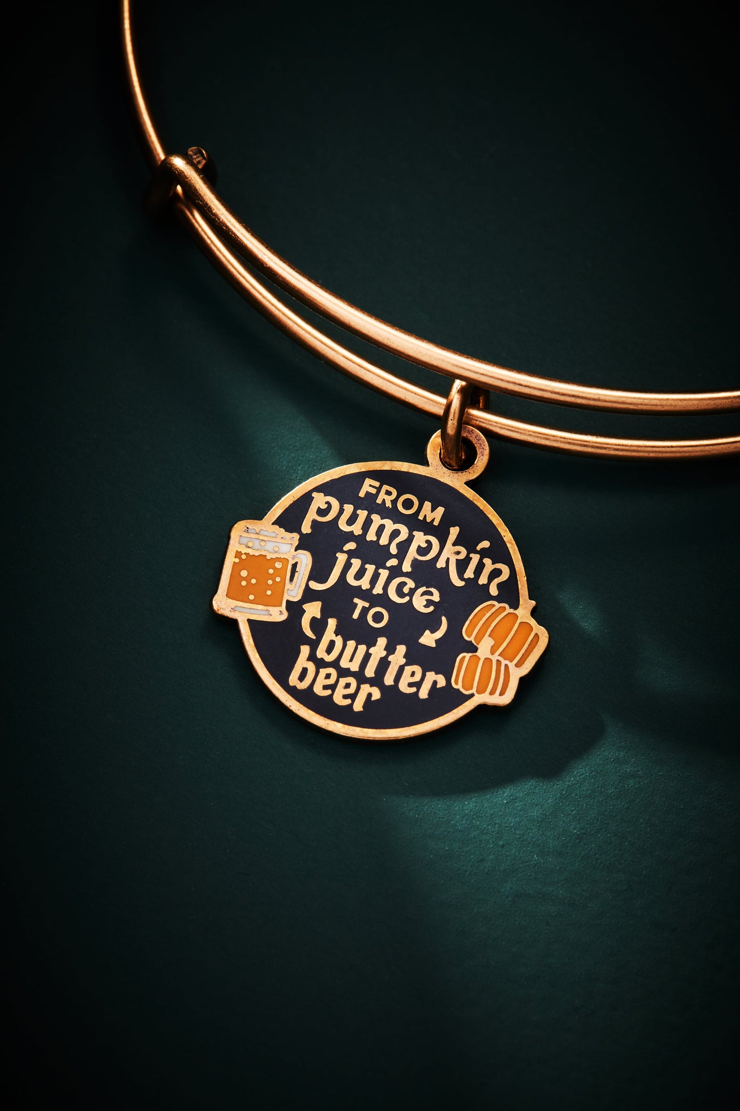 Harry Potter™ 'From Pumpkin Juice To Butter Beer' Charm Bangle