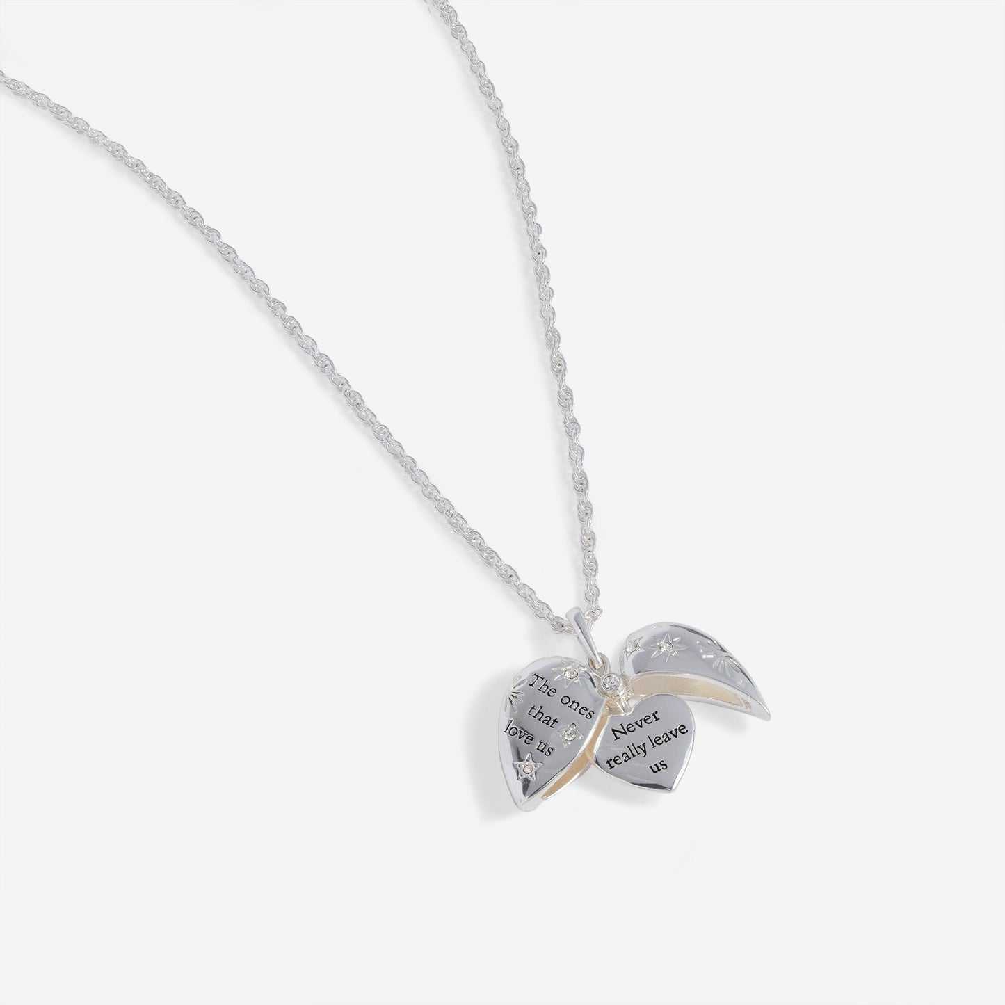 Harry Potter™ 'The Ones That Love Us' Locket Necklace